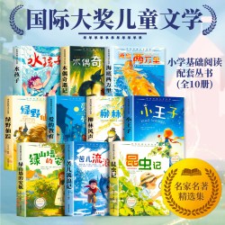 全套10册 国际大奖儿童文学系列注音版