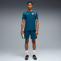 PUMA 葡萄牙国家队训练服男士运动T恤 784767