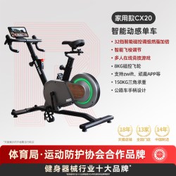 RiDO 力动 CX50 动感单车 家用款