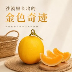 三山雨果 甘肃民勤蜜瓜沙漠蜜瓜甜瓜金红宝黄河蜜瓜应季当季新鲜水果哈密瓜