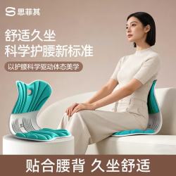 思菲其 人体工学护腰坐垫 活力蓝