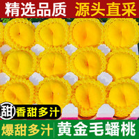 粤迎 山东蒙阴黄金毛蟠桃毛蟠桃现摘桃子新鲜水果 SS+级颗颗甄选单果120g+净重4.5斤