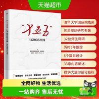 “十五五”与2035中国  清华大学国情研究院  宏观经济
