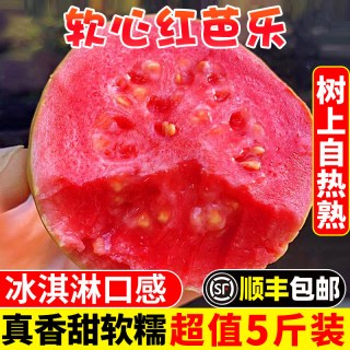 移动端：妙果森 福建漳州红心芭乐 3斤