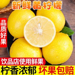 叶老三 2026年新果）海南黄柠檬新鲜皮薄多汁柠檬奶茶店水果批发价包邮