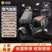 金箭 电动车金钢plus750好价冲！
