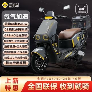 金箭 电动车金钢plus750好价冲！