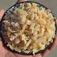 船大富 江苏 瑶柱干贝干货 500g