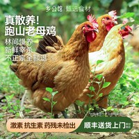 移动端、88VIP：乡公馆 农家散养 土鸡  包装 整只 1100g
