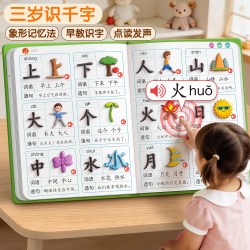 幼儿园识字大王3000字点读机认字启蒙有声书儿童看图早教发声神器