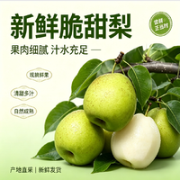 山疆湾 糖斑翠冠蜜梨5斤