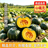 山疆湾 贝贝南瓜 4.5斤净重