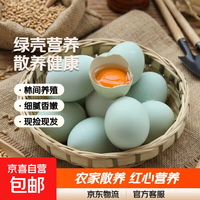农家 生态绿壳生鲜鸡蛋 420g 50枚/箱