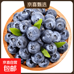 京严精品 云南新鲜蓝莓当季脆甜孕妇宝宝辅食护眼水果现摘 15-18mm