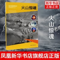 火山惊魂 讲述具有代表性的火山灾难案例