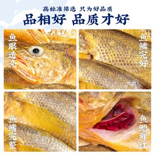 昌鲜园 舟山野生小黄鱼 新鲜冷冻 海鲜水产
