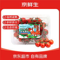 京鲜生 江苏绿港串收小番茄净重2斤 酸甜可口脆嫩多汁生鲜蔬菜源头直发