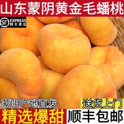 锦果实 山东蒙阴黄金蜜毛蟠桃 3/4.5斤