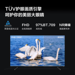 Vidda 海信电视 50英寸 R50 一级能效 莱茵低蓝光护眼游戏液晶平板电视机2026款 50英寸
