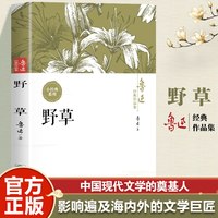 野草 精神荒原生命韧性蕴含深刻哲思经典文学书籍
