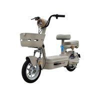 台铃 48V22Ah电池 长续航 电动自行车