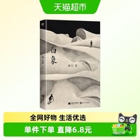 白象 班宇 著 中国当代小说