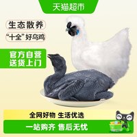 移动端、88VIP：温氏 天露乌骨鸡1000g农家土鸡正宗走地乌鸡农场直供煲汤食材 1件装