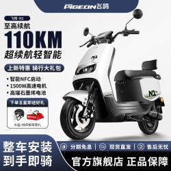 飞鸽 FG FLYING PIGEON）N100新款