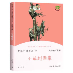 全套3册童年六年级上册必读课外书快乐读书吧小英雄雨来