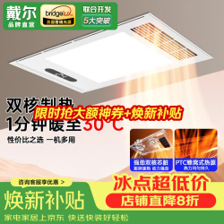 戴尔 面板灯带风暖浴霸 2400W 双核多功能照明换气排风一体