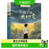 88VIP：全国优秀儿童文学奖获奖作家书系一个孩子的大地震 正版书籍