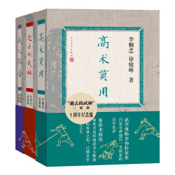 逝去的武林 武人琴音  高术莫用