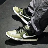 百亿补贴：NIKE Dunk Low 男款滑板鞋 HF5441-203