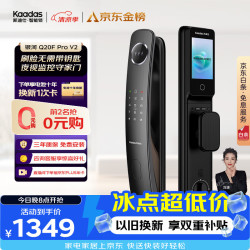 凯迪仕 Q20F Pro 3D人脸识别 双摄版 智能门锁