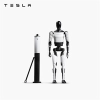 特斯拉 Bot 摆件 黑色