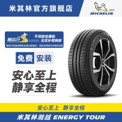 米其林 ENERGY TOUR 瀚越 205/55R16 91V TL