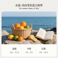 basa AC1 车载香薰挂件 赤霞柑橘 三片装