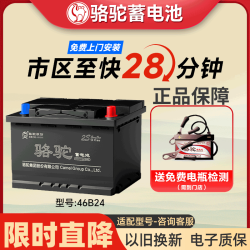骆驼 6-QWLZ-45(370)-(46B24LX) 12V 45Ah 免维护蓄电池