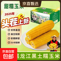 开源保丰 东北黄糯玉米 250g-280g*10支