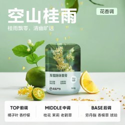 网易严选 车载香薰汽车车用饰品摆件固体香膏新款香氛用品男士香水