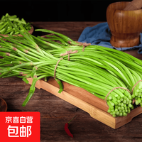 河南通许 新鲜红帽短蒜薹 20-30厘米 二斤