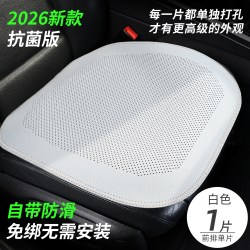树先生 纳帕真皮 夏季防滑汽车坐垫 初雪白-前排单片