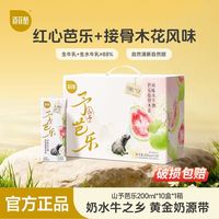 百菲酪 山予芭乐接骨木花水牛奶200ML10盒整箱学生早餐奶风味乳