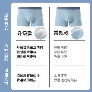 BIERDAN彼尔丹 纯棉透气 平角内裤