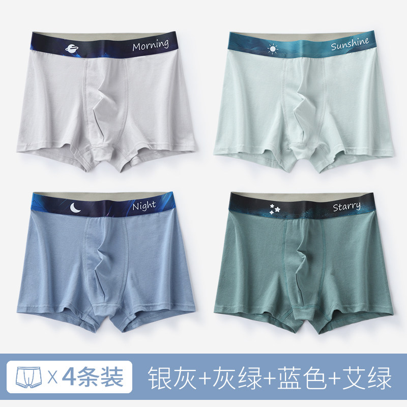 4条装 - 组合D