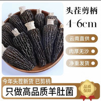 88VIP：西云珍坊 云南特级羊肚菌礼盒头茬非新鲜野生菌菇汤料包煲汤干货食材特产 4-6cm 50g