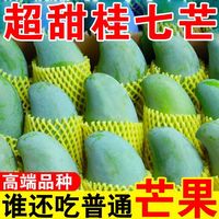 憨小甜 桂七芒果 新鲜现摘