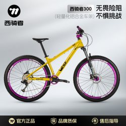 西骑者 300山地自行车休闲运动健身学生车青少年2026新款变速单车