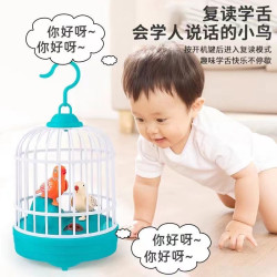 儿童鸟笼玩具电动声控感应鸟仿真小鸟有声会动创意仿真动物玩具