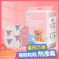 心伴蜜语 宠物尿垫背胶吸水消臭印花尿垫瞬吸狗狗宠物垫隔尿狗尿垫